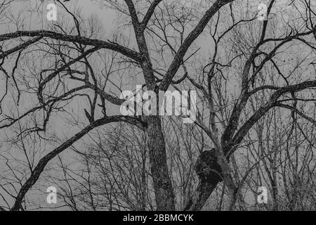 Passo di Wyzna nei Monti Bieszczady in Polonia Foto Stock