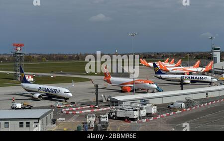 Gli aerei Ryanair e esayJet parcheggiati all'aeroporto di Southend dopo che le compagnie aeree hanno ridotto i voli in mezzo a restrizioni di viaggio e un enorme calo della domanda a causa della pandemia di coronavirus. Foto Stock