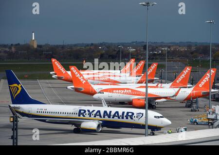 Un aeromobile Ryanair e esayJet parcheggiato all'aeroporto di Southend dopo che le compagnie aeree hanno ridotto i voli in mezzo a restrizioni di viaggio e un enorme calo della domanda a causa della pandemia di coronavirus. Foto Stock