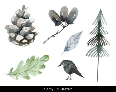 Set elementi autunnali. Cono, Raven, ghianda, quercia, foglie, abete, conifere, sempreverde, collezione su sfondo bianco Foto Stock