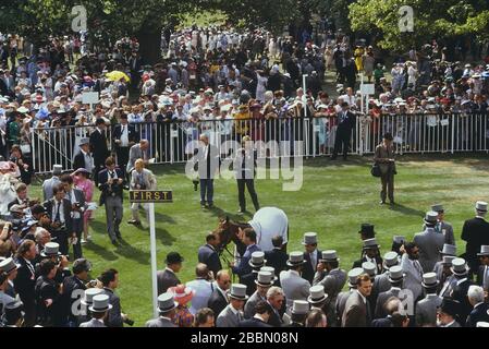 Il recinto dei vincitori dopo una gara al Royal Meeting tenutosi all'Ascot Racecourse di Ascot, in Inghilterra. REGNO UNITO. 1989 Foto Stock