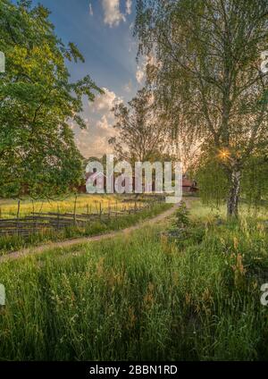 Piccola strada di campagna e vecchi cottage tradizionali rossi in un paesaggio rurale presso il villaggio Stensjo by. Oskarshamn, Smaland, Svezia, Scandinavia Foto Stock