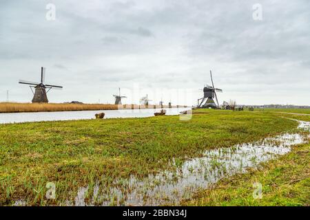 Mulini a vento (pompe eoliche) a Kinderdijk, un villaggio nella provincia olandese del Sud, noto per i suoi iconici mulini a vento del 18th secolo. Foto Stock