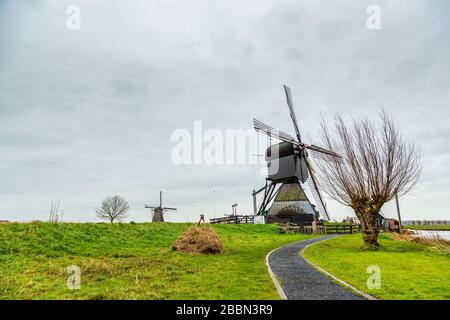 Mulini a vento (pompe eoliche) a Kinderdijk, un villaggio nella provincia olandese del Sud, noto per i suoi iconici mulini a vento del 18th secolo. Foto Stock