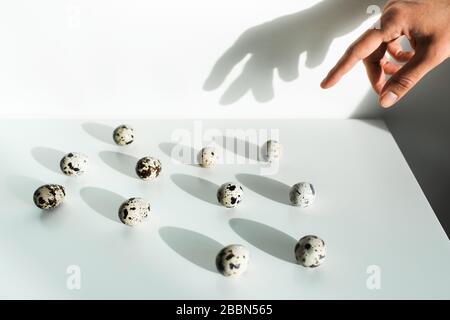 Donna mano prendere un uovo di quaglia da mucchio di altri su sfondo bianco. Scelta giusta. Concetto di pasqua insolito. Foto Stock