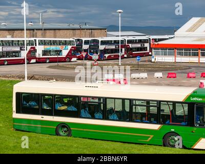 Edimburgo, Scozia, Regno Unito. 1st aprile 2020. Covid-19 Lockdown: Con la significativa riduzione dei servizi di autobus durante la pandemia di Coronavirus, il deposito di autobus Lothian a Seafield è chiuso con un gran numero di autobus parcheggiati in linee Foto Stock