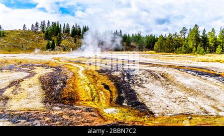 Acqua calda dal ventilatore Geyser e molti altri geyser e sorgenti termali che fluiscono nel fiume Firehole nel Bacino del Geyser superiore nel Parco di Yellowstone Foto Stock