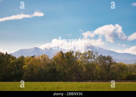 Paesaggio di un prato verde e foresta con una montagna innevata dietro Foto Stock