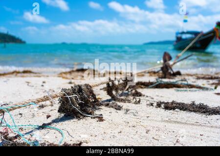Corda da primo piano per ormeggiare una barca sulla spiaggia, in alghe secche Foto Stock