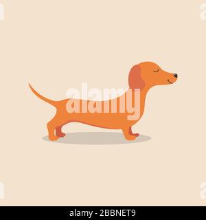 Dachshund cane animale. Illustrazione vettoriale Illustrazione Vettoriale