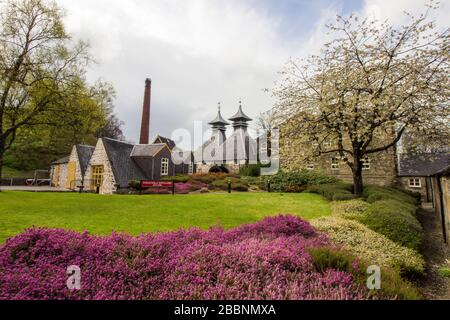 Strathisla Distillery Buildings durante la primavera in una mattinata illuminata dal sole, Keith, Scozia Foto Stock