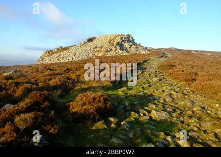 Stiperstones in Shropshire; Regno Unito Foto Stock