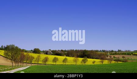 Vista panoramica del paesaggio contro il cielo chiaro Foto Stock