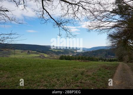 Vista panoramica nella eifel Germania in primavera Foto Stock