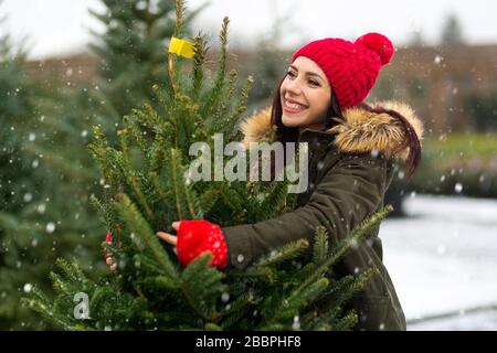 Donna che acquista albero di Natale Foto Stock