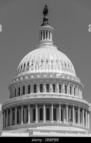 La magnifica cupola in ghisa di Thomas U. Walter del Campidoglio degli Stati Uniti sorge 288' sopra Capitol Hill a Washington DC Foto Stock