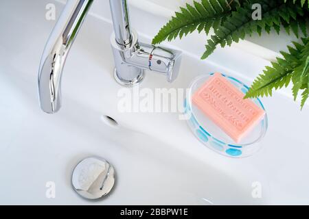 Un lavandino o lavandino da toilette domestico. Saponetta rosa francese, rubinetto cromato e felce decorativa. Foto Stock