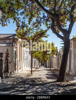 Vicolo tra i mausolei di Cemitério do Alto de São João. Foto Stock