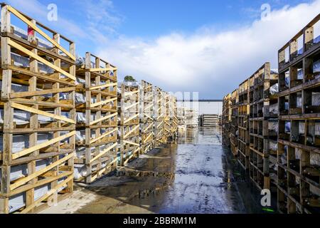 doppio vetro finestra magazzino fabbrica sotto il cielo aperto Foto Stock