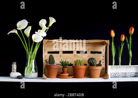 Decorazioni moderne con cassetta. Ripiano contro parete nera con cactus decorativo, vetro e rocce. Tulipani e calla in vaso. Foto Stock