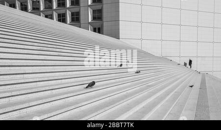 PARIGI, 15° GIORNO, LOCKDOWN PARIGINO Foto Stock