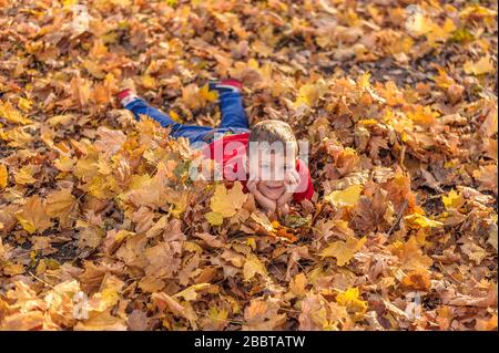 giovane ragazzo bello si trova sul fogliame autunno nel parco Foto Stock