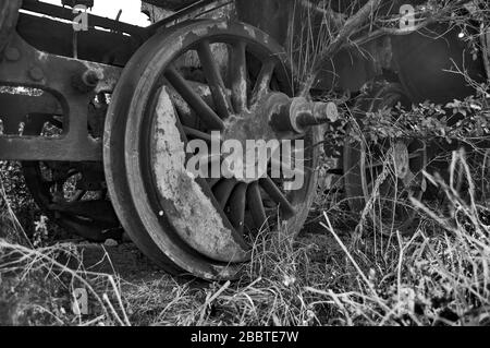 Vecchia locomotiva a vapore della ferrovia disfunzionale che è overgrown con erbacce. Foto Stock