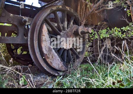 Vecchia locomotiva a vapore della ferrovia disfunzionale che è overgrown con erbacce. Foto Stock