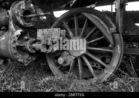 Vecchia locomotiva a vapore della ferrovia disfunzionale che è overgrown con erbacce. Foto Stock