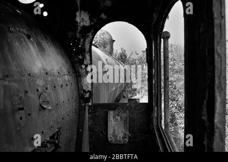 Vecchia locomotiva a vapore della ferrovia disfunzionale che è overgrown con erbacce. Foto Stock