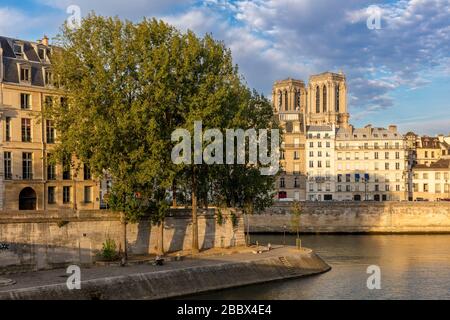 La mattina presto vista sul fiume Senna di Ile Saint Louis, Ile-de-la-Cite e la Cattedrale di Notre Dame, Parigi, Francia Foto Stock