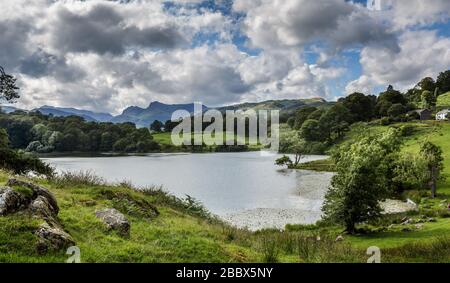 Loughrigg Tarn e Loughrigg caddero in estate, Lake District National Park, Cumbria, Inghilterra Foto Stock