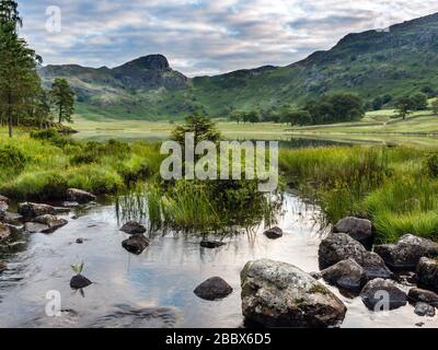 Blea Tarn, Lake District National Park, Cumbria, Inghilterra, Regno Unito Foto Stock