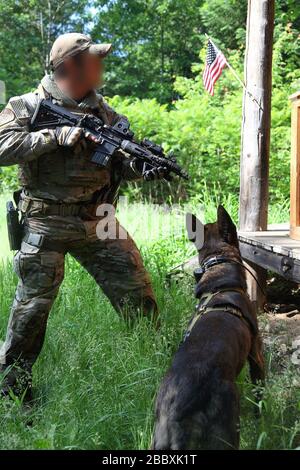 Un agente BORTAC insieme alla sua K9 cerca una cabina di caccia al di fuori di Dannemora NY il 14 giugno Foto Stock