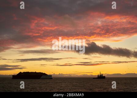 Georgia Strait Steveston Tugboat Sunset. Un rimorchiatore che traina una chiatta lungo il fiume Fraser nello stretto di Georgia. Richmond, British Columbia, Canada Foto Stock