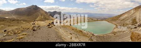 Panoramica degli escursionisti in pista e il Lago di Smeraldo (i Ngarotopounamu) sul Tongariro Crossing Foto Stock