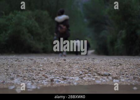 Puddle con riflessioni in foresta densa con persone che camminano fuori di fuoco in background. Foto Stock