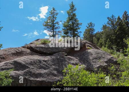 Un albero sulla cima della roccia faccia Foto Stock
