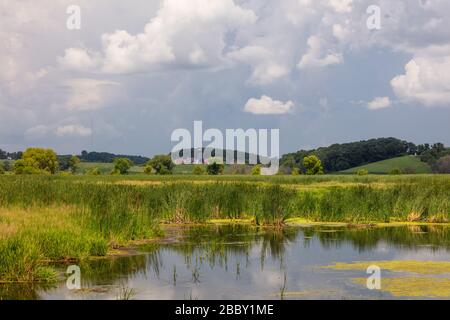 Zone umide vicino al Libano, nella contea di Dodge, Wisconsin Foto Stock