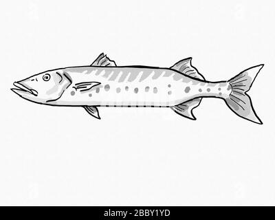 Disegno in stile cartoon retro di un grande Barracuda, un relitto e reef vita marina pesci specie di Florida e Golfo del Messico visto da lato fatto in Bla Foto Stock