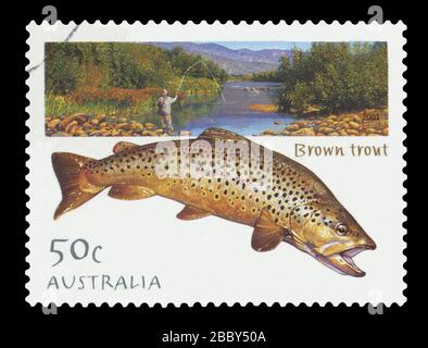 AUSTRALIA - CIRCA 2003: Un francobollo stampato in Australia mostra un'immagine di Brown Trout, circa 2003. Foto Stock