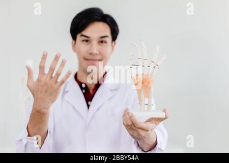 Physical Doctor con il modello di palmo della mano che mostra l'anatomia nel sistema muscolare della mano tendini legamenti. Foto Stock