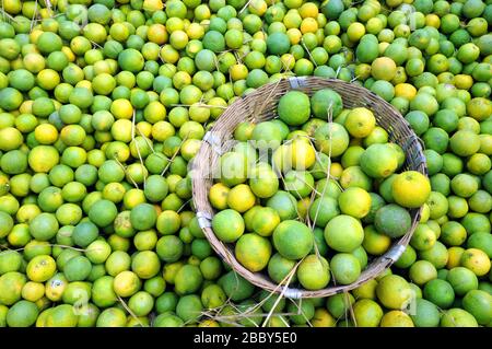 Dolce lime all'ingrosso mercato, Mosambi è un popolare frutto tropicale. Limone dolce (Citrus limetta) frutta in vendita sul mercato al mercato di koyambedu, Chennai Foto Stock