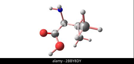Valina o Val un amminoacido che viene usato nella biosintesi delle proteine. illustrazione 3d Foto Stock