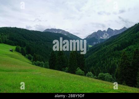 Vista estiva sul prato e sulla catena montuosa nella zona di Axamer Lizum, Tirolo, Austria Foto Stock