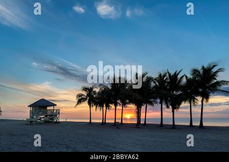 Palme al sorgere del sole di Miami Beach, in Florida. Foto Stock