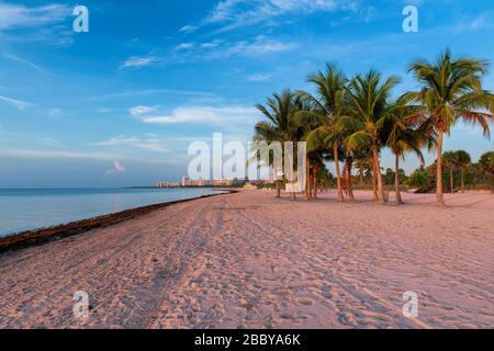 Miami Beach all'alba, Florida. Foto Stock