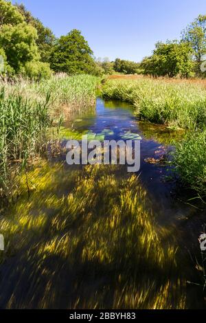 vista sul fiume wensum Foto Stock