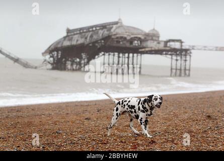 Brighton, Regno Unito 30 dicembre 2002 - lo storico West Pier di Brighton soccombe agli elementi dopo i venti forti e la pioggia la scorsa notte. La maggior parte di quello che era la sala da ballo scivolava nel mare. Foto James Boardman Foto Stock