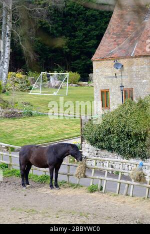 Loose Village, Kent, Regno Unito. Cavallo al pascolo in un campo accanto a una casa Oast convertito con una meta di calcio in giardino Foto Stock